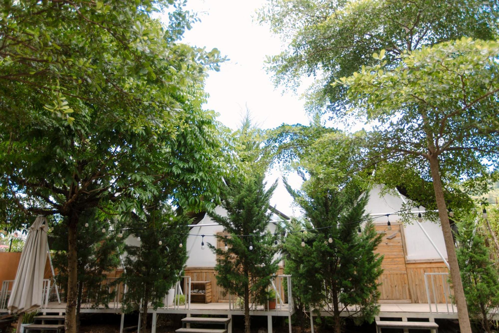 Apartmán The November - Moc Chau Exteriér fotografie